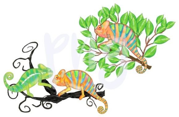 Download Chameleon Leaves Nature Png Animal Art - Animal art Collection